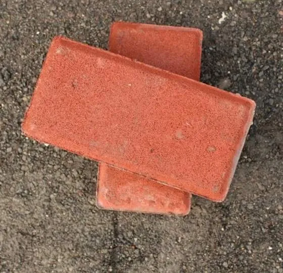 Foto produk Paving Block Bata Merah 6cm Calvinindo Multi Sarana Block